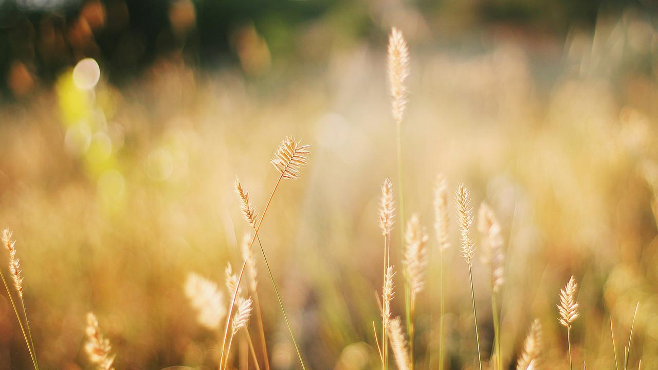 bild för innehållsblock till sidan Gravsättning